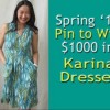Enter to win Karina Dress Wardrobe - ends 03/31/13